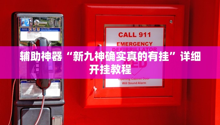 辅助神器“新九神确实真的有挂”详细开挂教程