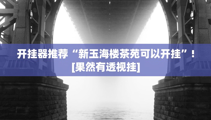 开挂器推荐“新玉海楼茶苑可以开挂”![果然有透视挂]