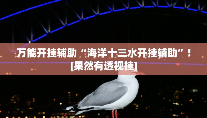 万能开挂辅助“海洋十三水开挂辅助”![果然有透视挂]