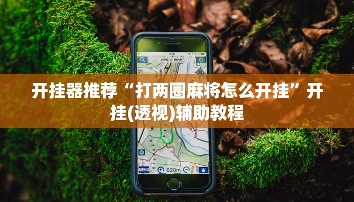 开挂器推荐“打两圈麻将怎么开挂”开挂(透视)辅助教程