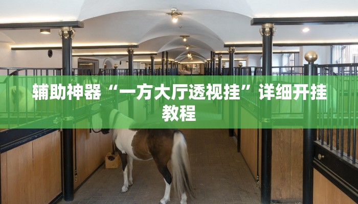 辅助神器“一方大厅透视挂”详细开挂教程