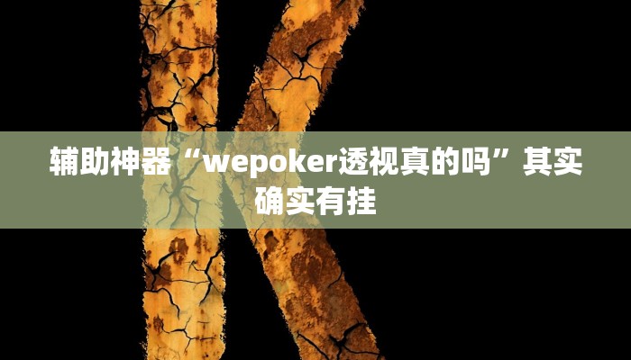 辅助神器“wepoker透视真的吗”其实确实有挂