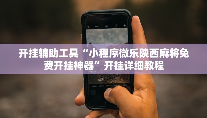 开挂辅助工具“小程序微乐陕西麻将免费开挂神器”开挂详细教程