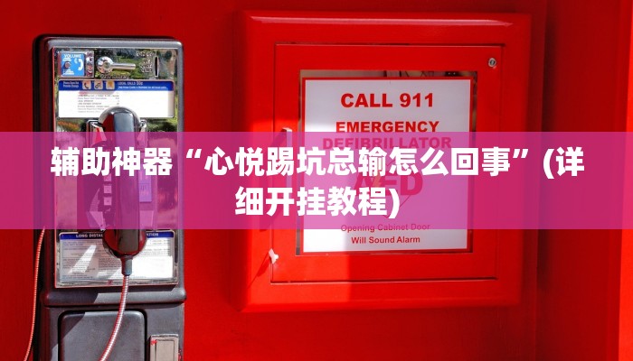 辅助神器“心悦踢坑总输怎么回事”(详细开挂教程)