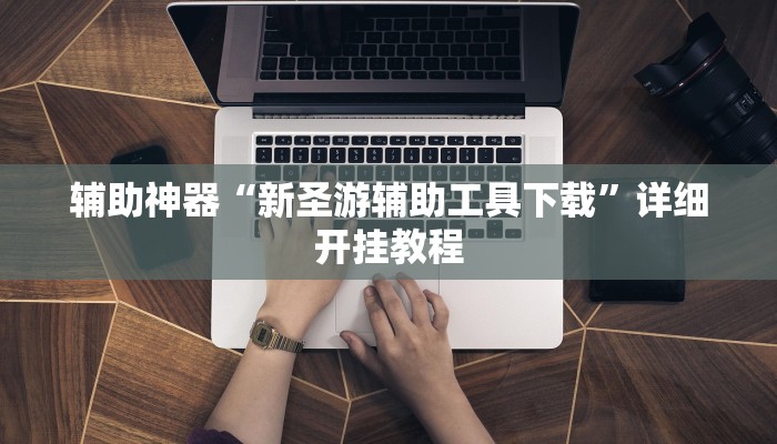 辅助神器“新圣游辅助工具下载”详细开挂教程