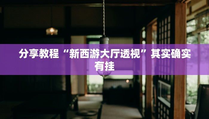 分享教程“新西游大厅透视”其实确实有挂