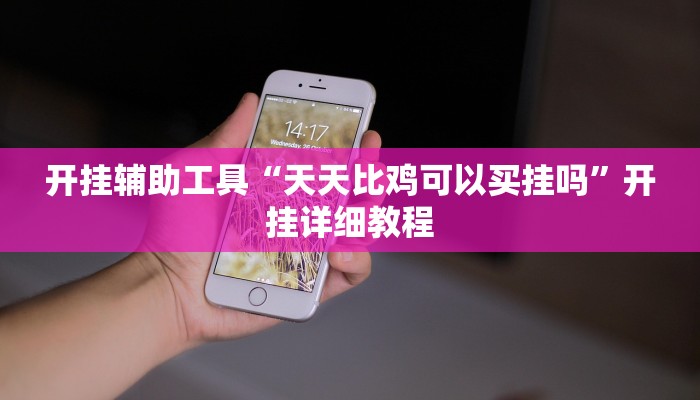 开挂辅助工具“天天比鸡可以买挂吗”开挂详细教程