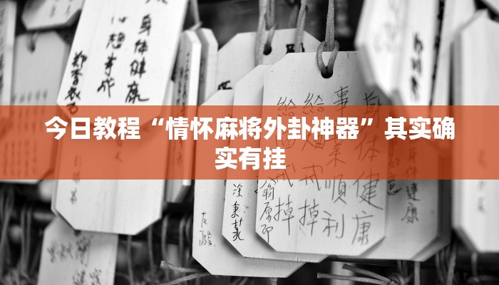 今日教程“情怀麻将外卦神器”其实确实有挂