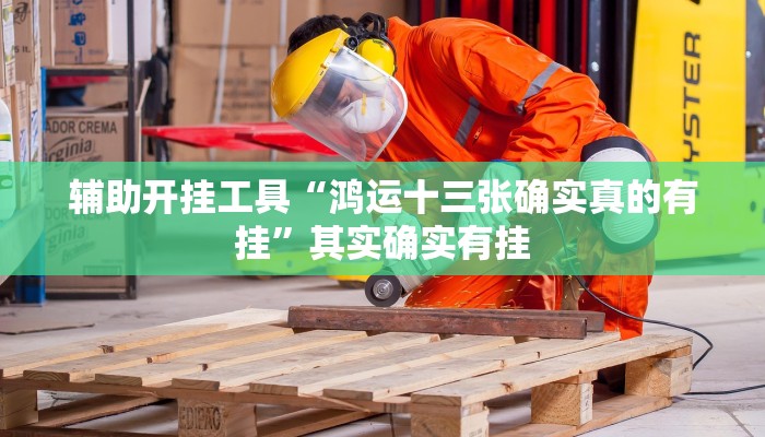 辅助开挂工具“鸿运十三张确实真的有挂”其实确实有挂