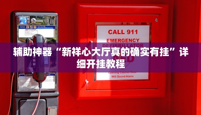 辅助神器“新祥心大厅真的确实有挂”详细开挂教程