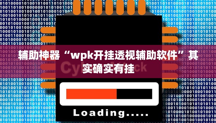 辅助神器“wpk开挂透视辅助软件”其实确实有挂