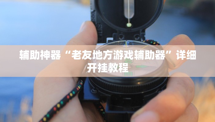 辅助神器“老友地方游戏辅助器”详细开挂教程