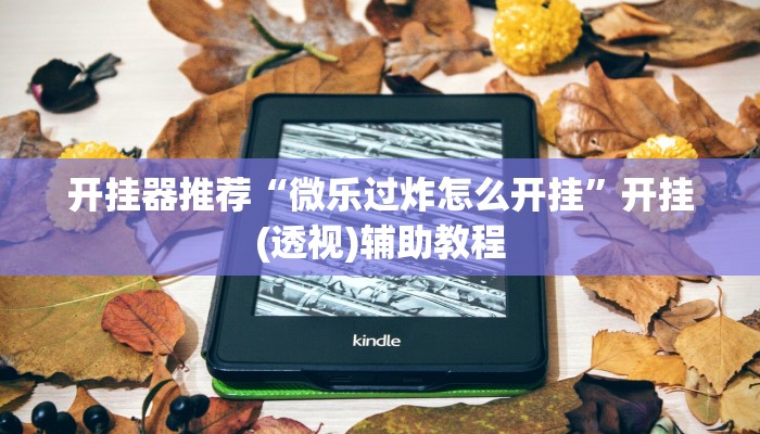 开挂器推荐“微乐过炸怎么开挂”开挂(透视)辅助教程