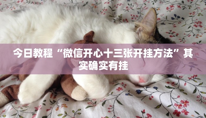 今日教程“微信开心十三张开挂方法”其实确实有挂