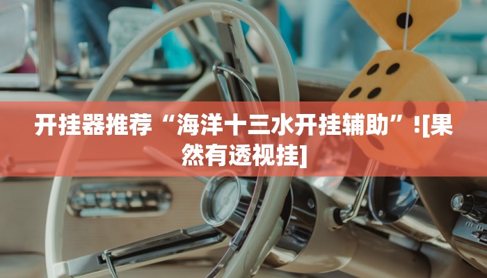 开挂器推荐“海洋十三水开挂辅助”![果然有透视挂]