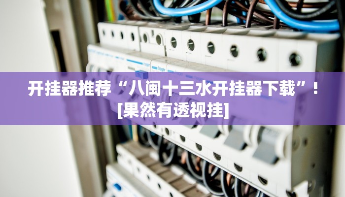 开挂器推荐“八闽十三水开挂器下载”![果然有透视挂]