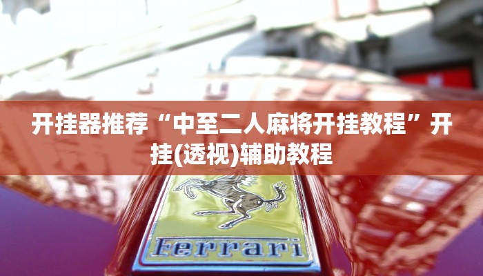 开挂器推荐“中至二人麻将开挂教程”开挂(透视)辅助教程