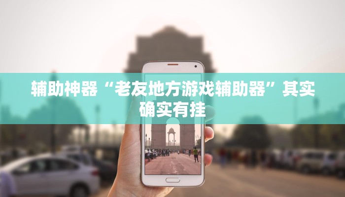 辅助神器“老友地方游戏辅助器”其实确实有挂