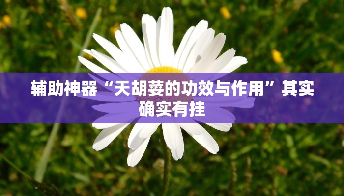 辅助神器“天胡荽的功效与作用”其实确实有挂