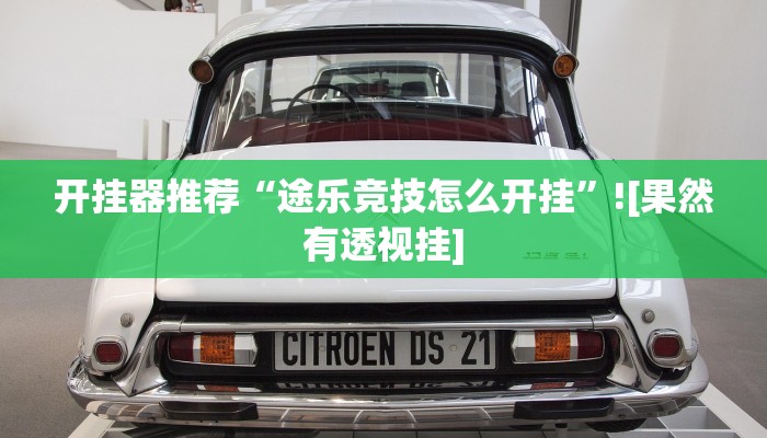 开挂器推荐“途乐竞技怎么开挂”![果然有透视挂]