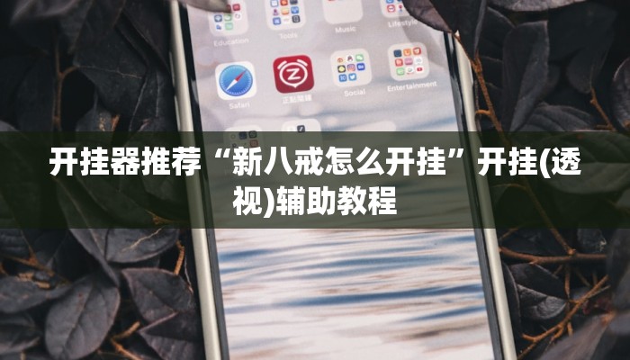 开挂器推荐“新八戒怎么开挂”开挂(透视)辅助教程