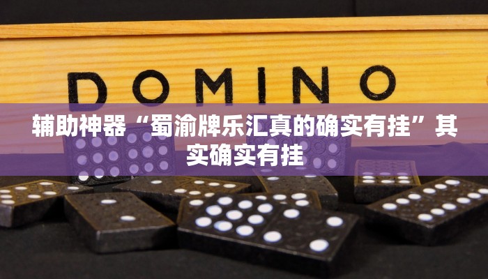 辅助神器“蜀渝牌乐汇真的确实有挂”其实确实有挂