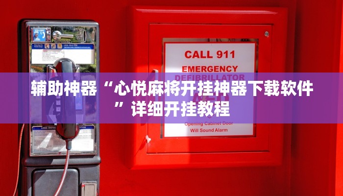 辅助神器“心悦麻将开挂神器下载软件”详细开挂教程