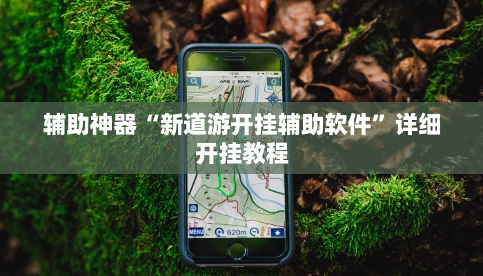 辅助神器“新道游开挂辅助软件”详细开挂教程