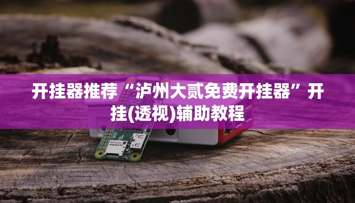 开挂器推荐“泸州大贰免费开挂器”开挂(透视)辅助教程