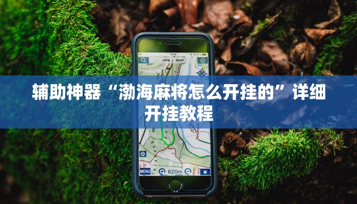 辅助神器“渤海麻将怎么开挂的”详细开挂教程