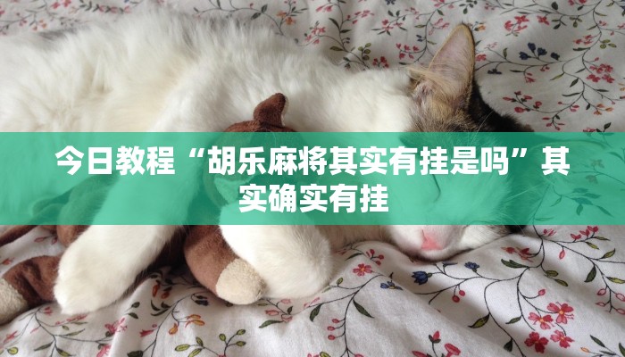 今日教程“胡乐麻将其实有挂是吗”其实确实有挂