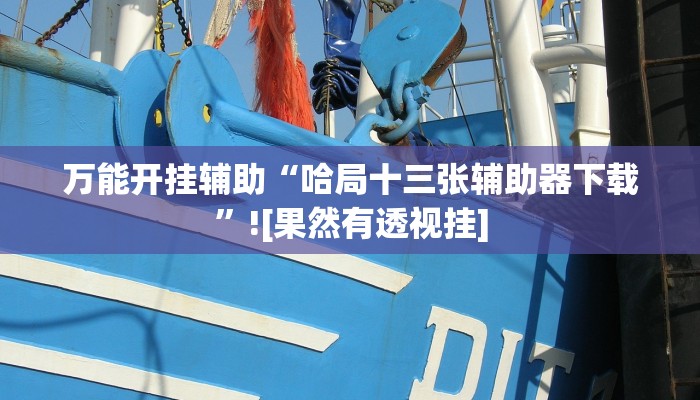 万能开挂辅助“哈局十三张辅助器下载”![果然有透视挂]