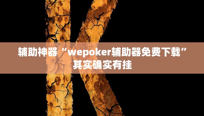 辅助神器“wepoker辅助器免费下载”其实确实有挂