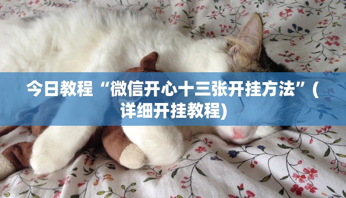 今日教程“微信开心十三张开挂方法”(详细开挂教程)