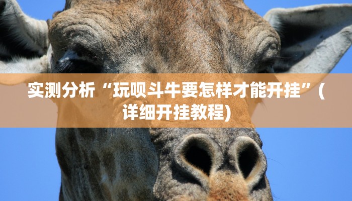 辅助神器“微乐甘肃麻将万能开挂器”详细开挂教程