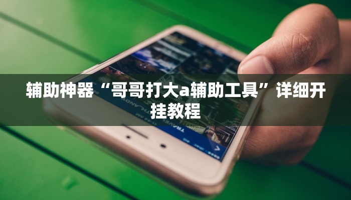 辅助神器“哥哥打大a辅助工具”详细开挂教程