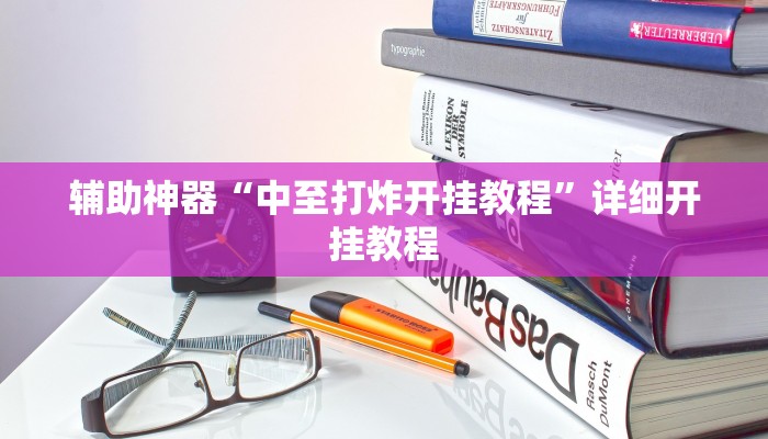 辅助神器“中至打炸开挂教程”详细开挂教程