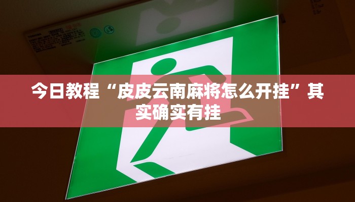 今日教程“新鸿狐大厅开挂辅助软件”(详细开挂教程)