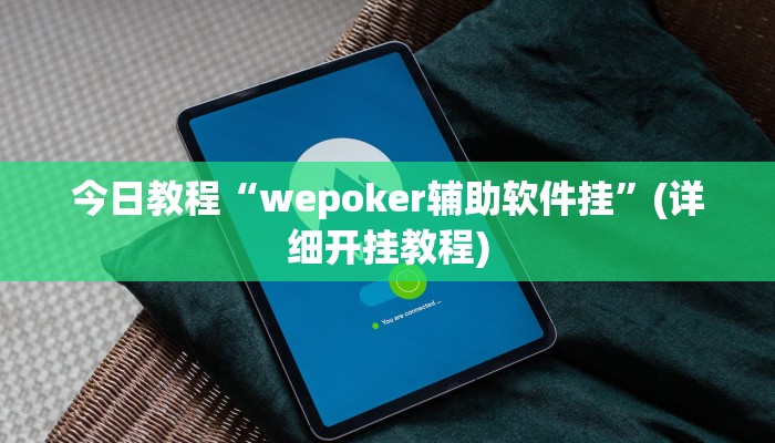 今日教程“wepoker辅助软件挂”(详细开挂教程)
