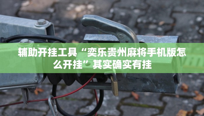 辅助开挂工具“奕乐贵州麻将手机版怎么开挂”其实确实有挂