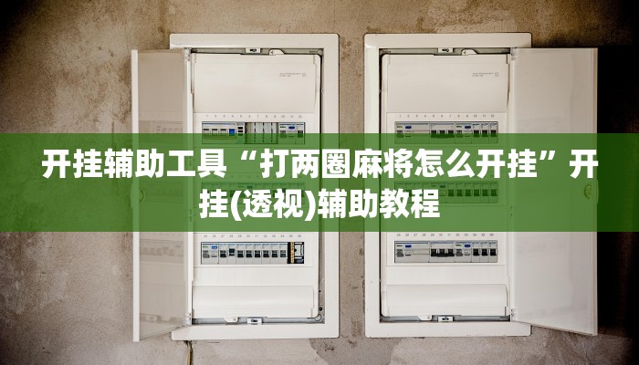 开挂辅助工具“打两圈麻将怎么开挂”开挂(透视)辅助教程