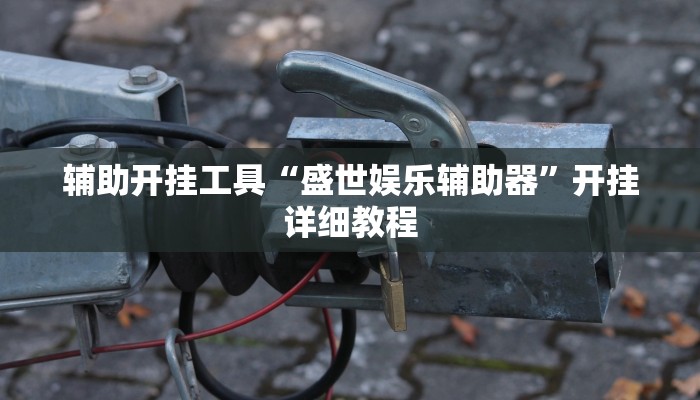 辅助开挂工具“盛世娱乐辅助器”开挂详细教程