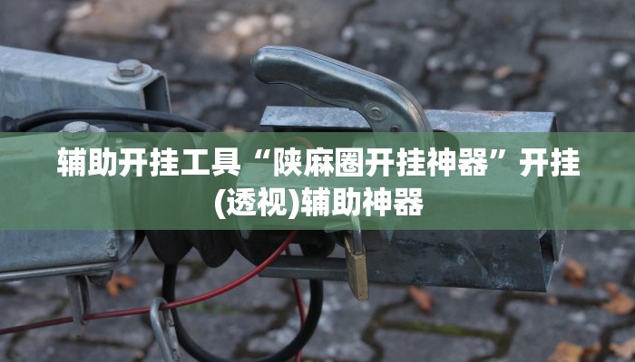 辅助开挂工具“陕麻圈开挂神器”开挂(透视)辅助神器