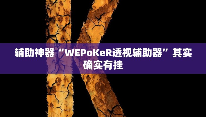 辅助神器“WEPoKeR透视辅助器”其实确实有挂