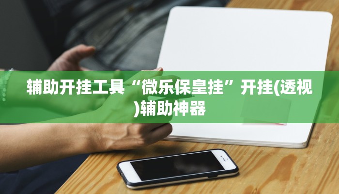 辅助开挂工具“微乐保皇挂”开挂(透视)辅助神器