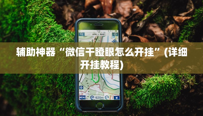 辅助神器“微信干瞪眼怎么开挂”(详细开挂教程)