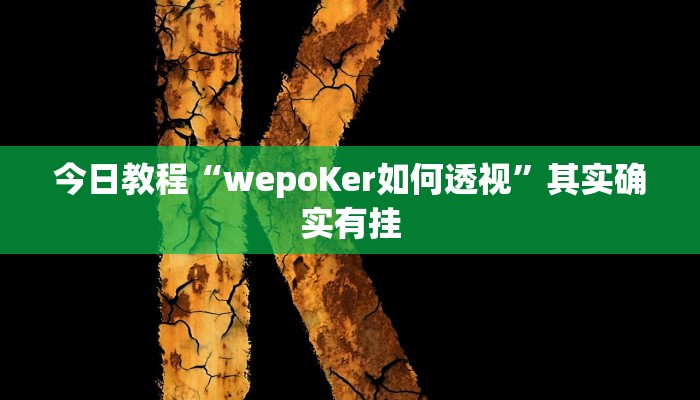 今日教程“wepoKer如何透视”其实确实有挂