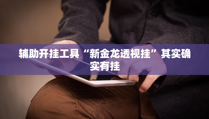 辅助开挂工具“新金龙透视挂”其实确实有挂