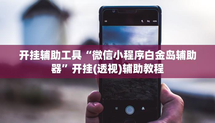 开挂辅助工具“微信小程序白金岛辅助器”开挂(透视)辅助教程