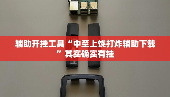 辅助开挂工具“中至上饶打炸辅助下载”其实确实有挂